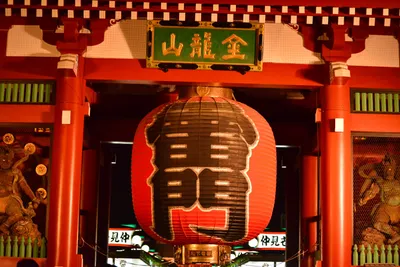 DSC_3986 (Large).JPG